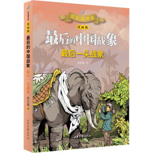 Z后一头战象 漫画版
