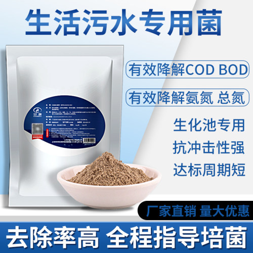 甘度生活污水处理专用菌好厌氧池系统复合硝化菌降氨氮cod活性菌