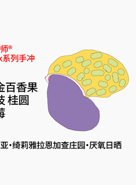 Back系列 Ngacha庄园SL28&SL34黄金百香果厌氧日晒手冲咖啡豆100g