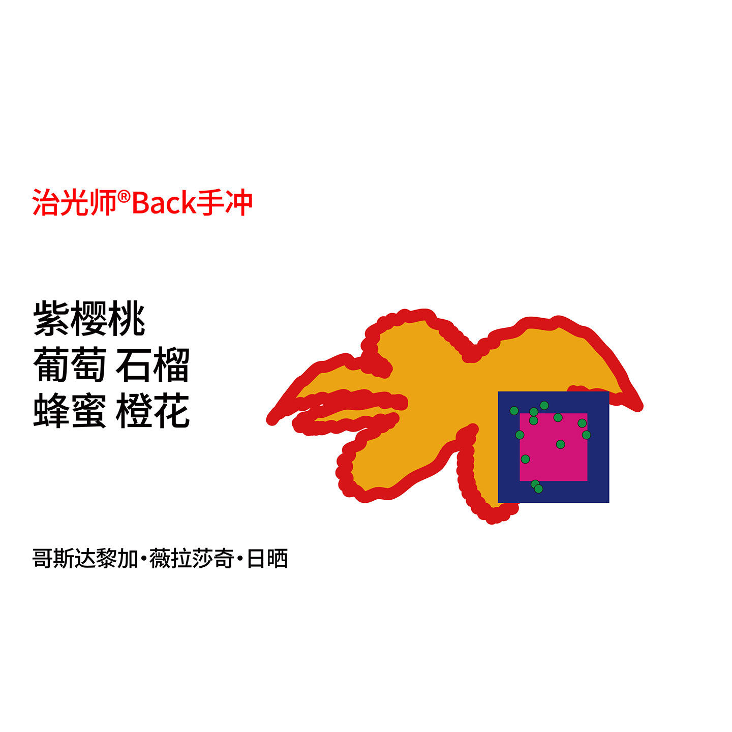 Back系列 Villa Sarchi日晒 石榴|蜂蜜|橙花 浅烘单品手冲咖啡豆