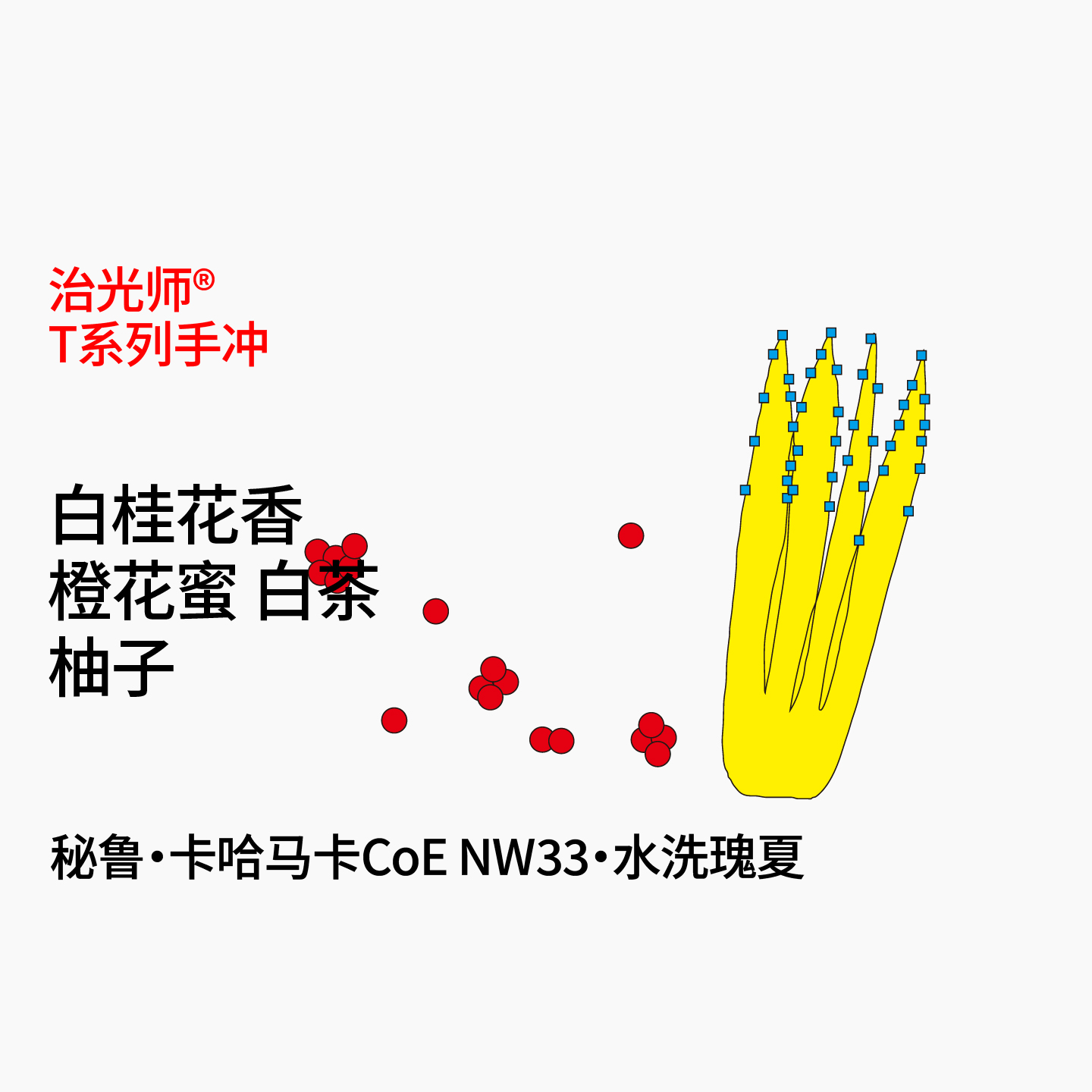 治光师秘鲁瑰夏手冲咖啡豆100g