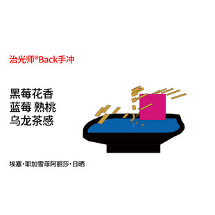 Back系列 多口味耶加雪菲手冲咖啡豆浅烘100g 埃塞俄比亚