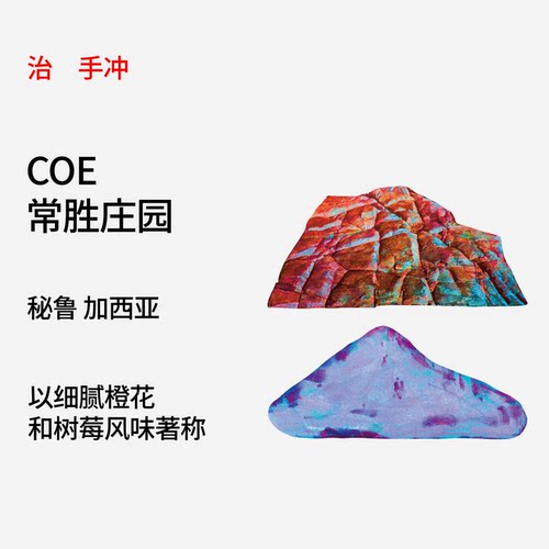 秘鲁加西亚庄园瑰夏手冲豆