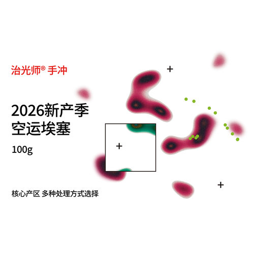 治光师埃塞浅烘手冲咖啡豆