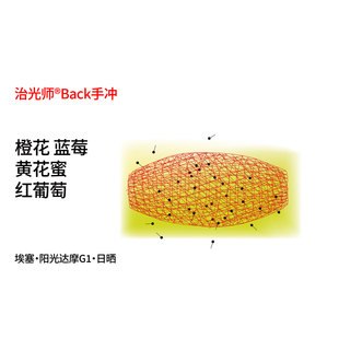 日晒手冲咖啡豆100g 橙花蓝莓红葡萄 Back系列 阳光达摩G1