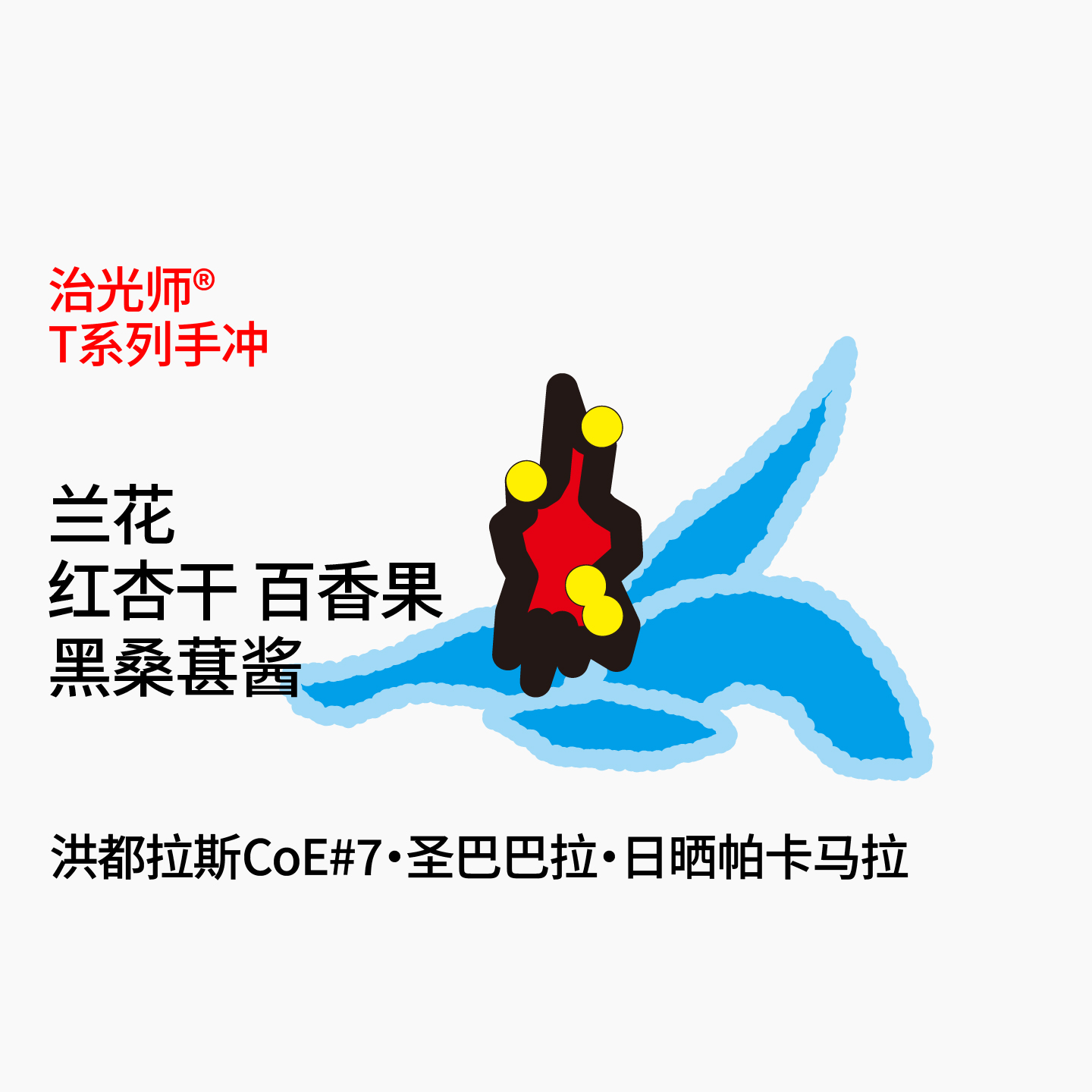 治光师CoE#7帕卡马拉浅烘咖啡豆