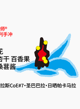 T系列 COE#7 Leona帕卡马拉日晒 兰花|百香果 手冲咖啡豆100g/30g