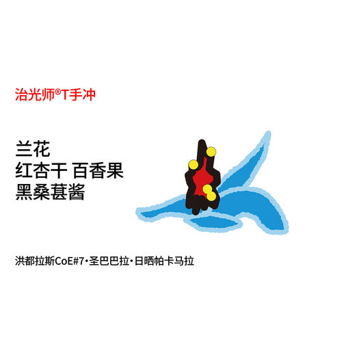 治光师CoE#7帕卡马拉浅烘咖啡豆