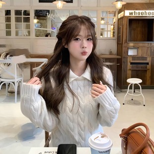 韩系学院风翻领假两件立领两穿绞花毛衣针织衫女冬季新款内搭上衣