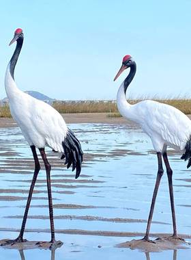 户外仿真仙鹤雕塑花园景观园林假山水池白鹤庭院装饰品丹顶鹤摆件