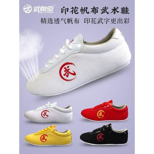 武术鞋武术专用鞋儿童牛筋底男女帆布太极练功鞋武术训练鞋武极堂