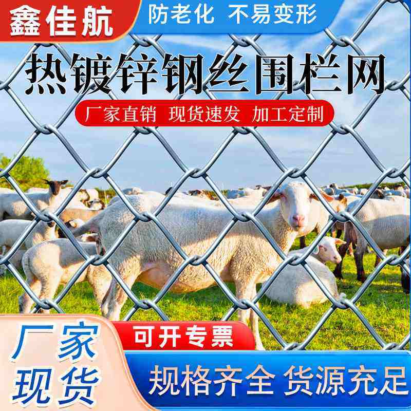 镀锌牛栏网电焊网养殖铁丝隔离护栏草原围栏果园圈地养鸡围网用网,农机/农具/农膜,农场护栏网,淘宝优惠券,粉丝福利购,淘宝优惠卷