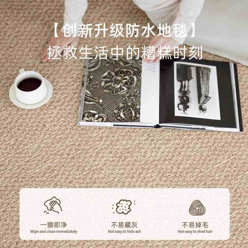 地毯客厅卧室轻奢新款沙发免免洗垫高级防水床边打理地房间可擦感,居家布艺,床边毯,淘宝优惠券,粉丝福利购,淘宝优惠卷