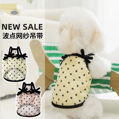 简约镂空波点网纱迪比衣服狗款薄泰宠物狗熊衣服狗吊带夏季犬小型