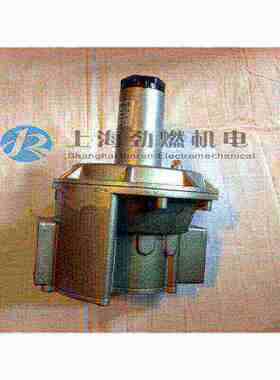 RG032-FT-1B意大利GECA RG040-FT-1B,RGD32-FT-1B,RGD40-FT-1B