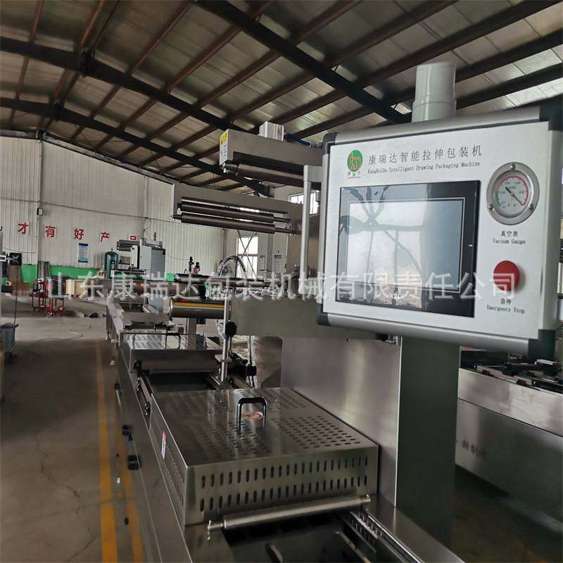 年糕真空包装机 莲藕全自动包装机 辣条全自动拉伸膜真空包装机