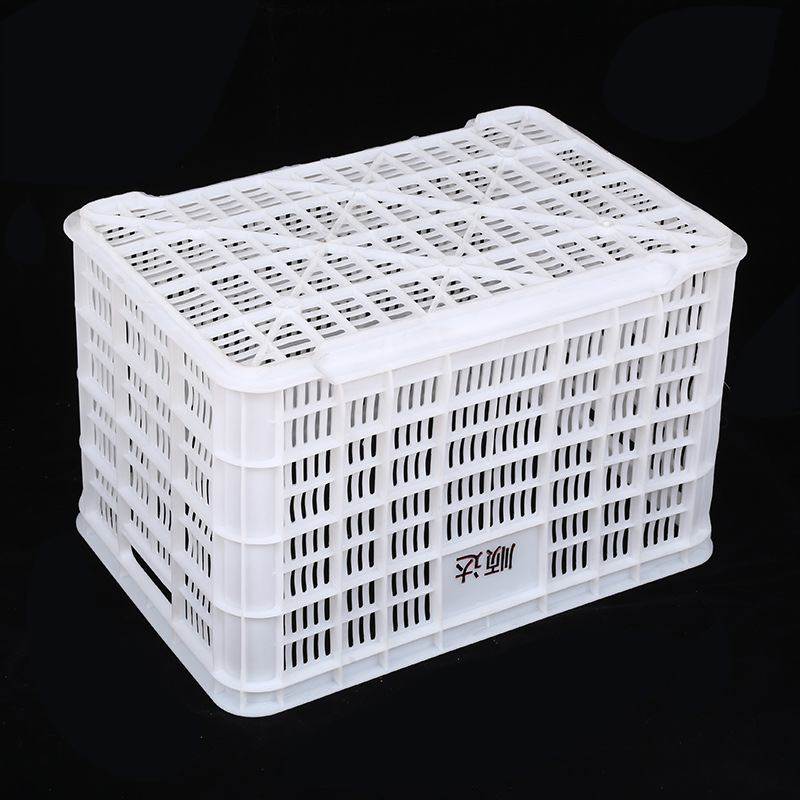 100斤周转筐加厚PE筐筐储仓库周转物蔬菜中转运输筐车间,农机/农具/农膜,果蔬采收筐/周转筐,淘宝优惠券,粉丝福利购,淘宝优惠卷