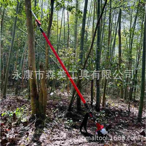 厂家批发4-5.2米汽油机可伸缩棕榈机椰树修整伐木锯高枝锯