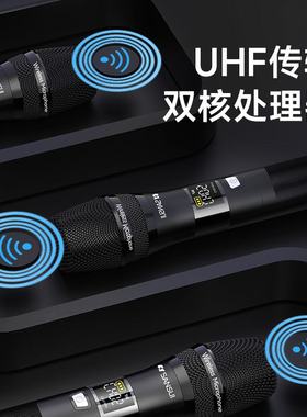 Sansui/山水家用无线话筒麦克风U段调频Ktv专用K歌卡拉OK充电会议