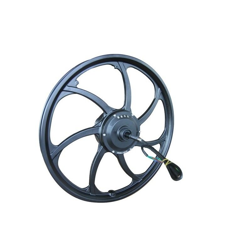 骐航QH-Y(20)-750   20寸750W镁合金一体轮电机