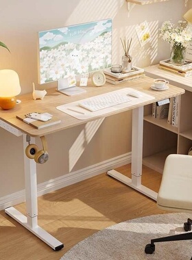 乐歌E1S智能升降桌1.2x0.6m适用小户型家用升降桌