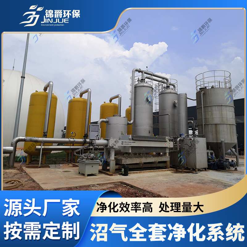 全套沼气净化设脱硫塔不锈钢沼气罐设备脱硫罐脱水罐水封罐阻火罐