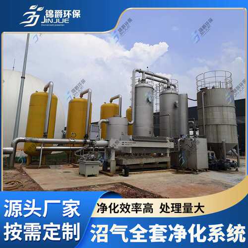 全套沼气净化设脱硫塔不锈钢沼气罐设备脱硫罐脱水罐水封罐阻火罐
