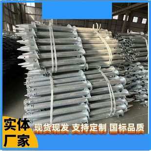 热浸镀锌光伏螺旋地桩预埋件灌注桩带凸缘蛟龙螺旋U地锚桩大棚地