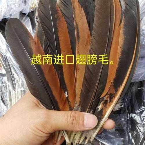 斗鸡毛斗鸡翅膀毛斗鸡羽毛斗鸡接羽毛粘翅膀专用
