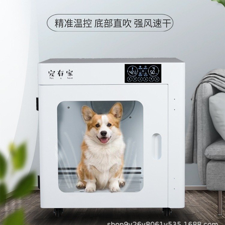 热卖宠物烘干箱中型犬洗澡吹干神器低噪速干家用宠物店全自动