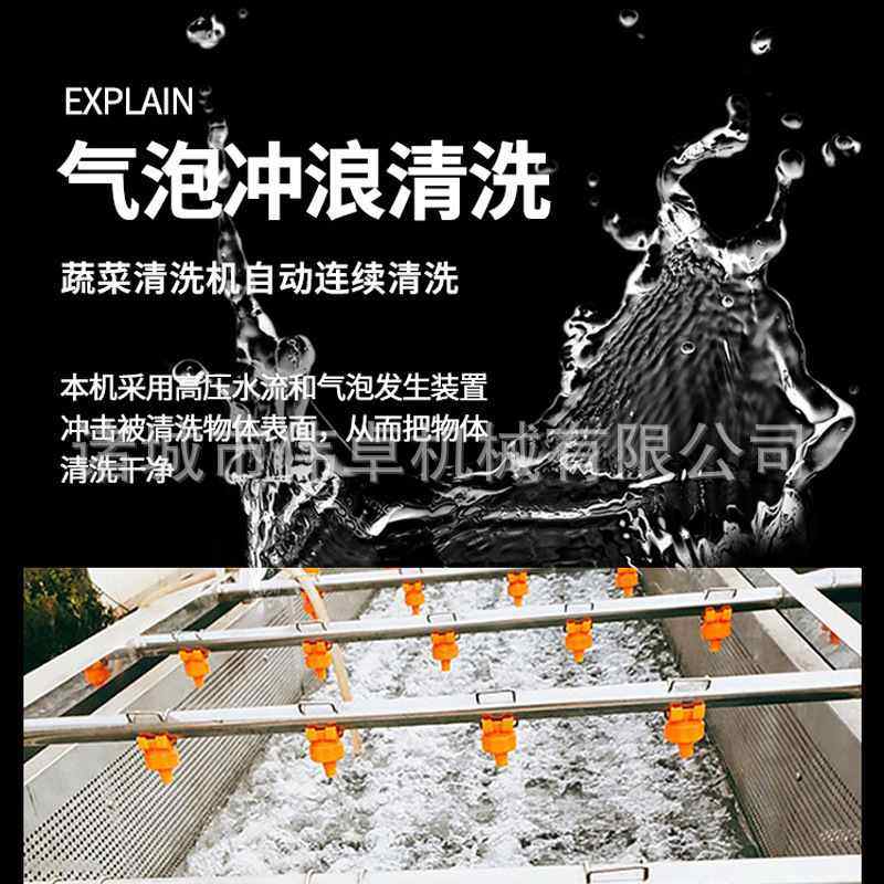 供应西蓝花生菜喷淋清洗机 小油菜净菜加工设备 蓝莓气泡清洗机,清洗/食品/商业设备,洗果机/洗菜机,淘宝优惠券,粉丝福利购,淘宝优惠卷