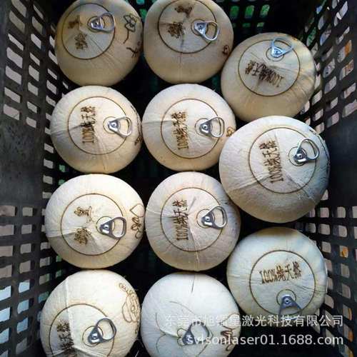 马来西亚老黑椰子椰皇拉环开孔 硬壳白椰激光切割雕刻机厂家直供