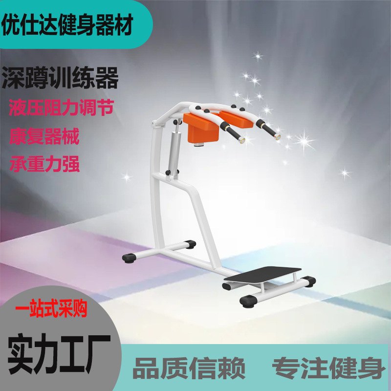 商用背肌\腹肌训练器深蹲训练蹬训练力量器械全套康复训练器材