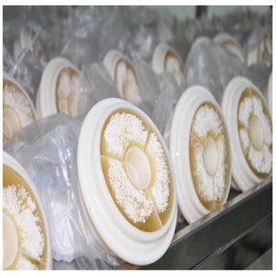 厂家直销8040工业6寸超滤膜厂家批发PVC膜水处理PVDF膜设备专用膜