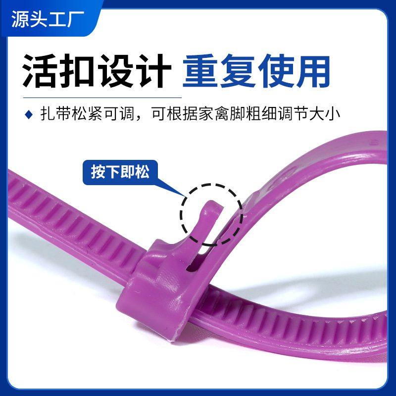 鸡脚环捆绑带鸡脚扎带鹌鹑缠绕带式鹅鸽子环拉扎易拉链家禽脚鸡鸭,宠物/宠物食品及用品,鸟用放飞绳,淘宝优惠券,粉丝福利购,淘宝优惠卷