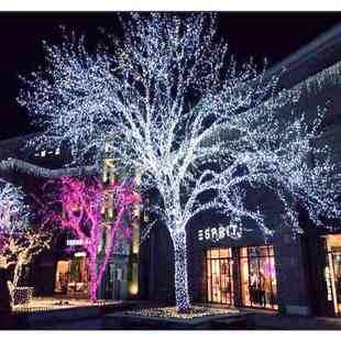 厂家24V低压满天星彩灯闪绕灯户外工程装饰亮化灯串串圣诞树树灯