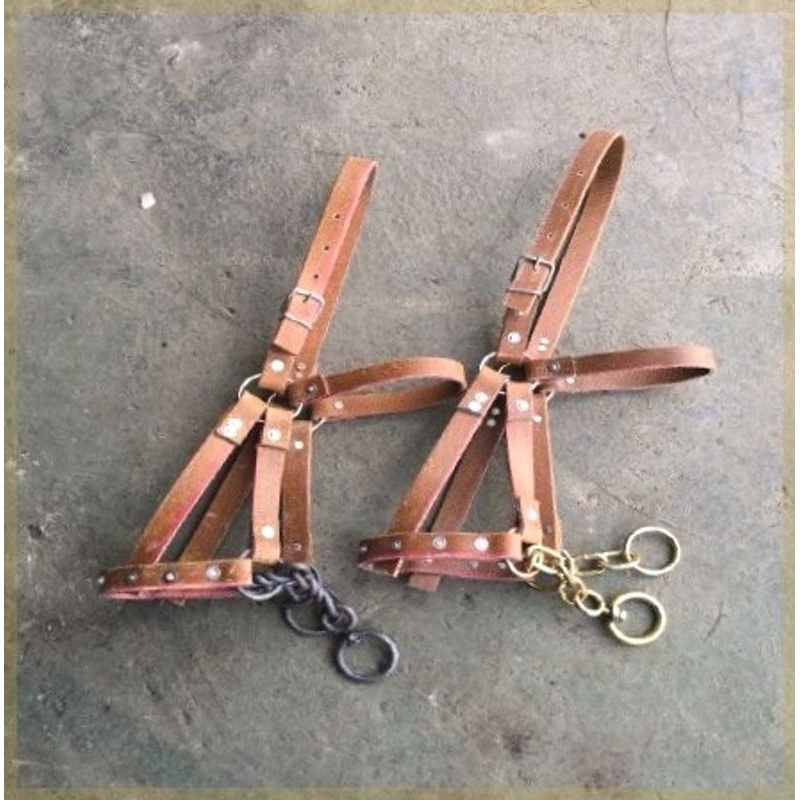 马笼头马笼套自带嚼子水乐马龙套牵马调教马龙头全套马术马具用品