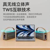 山水T93卡拉OK功放机户外K歌一体机 广场舞便携音响双话筒