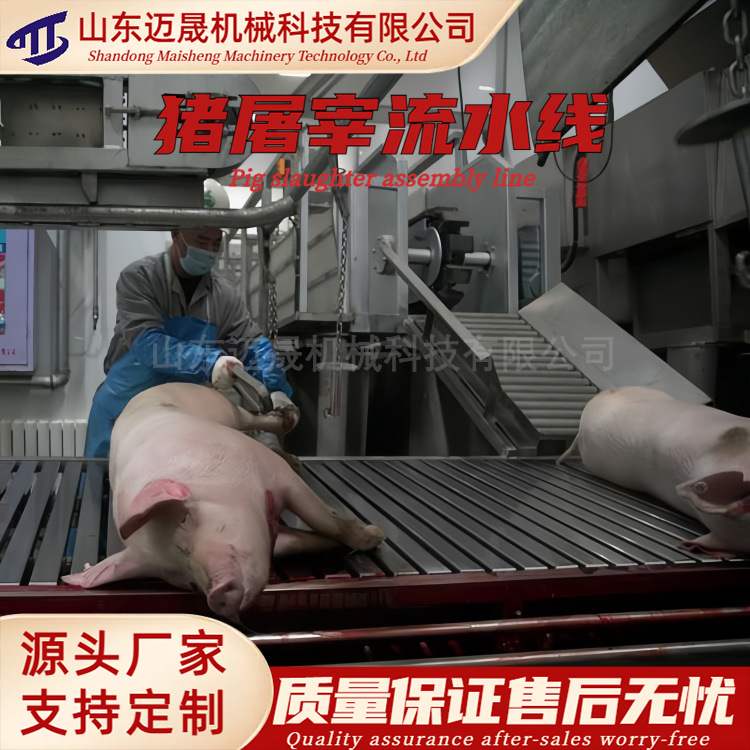 全自动猪屠宰流水线猪宰杀屠宰设备生产线整猪脱毛机猪分割流水线