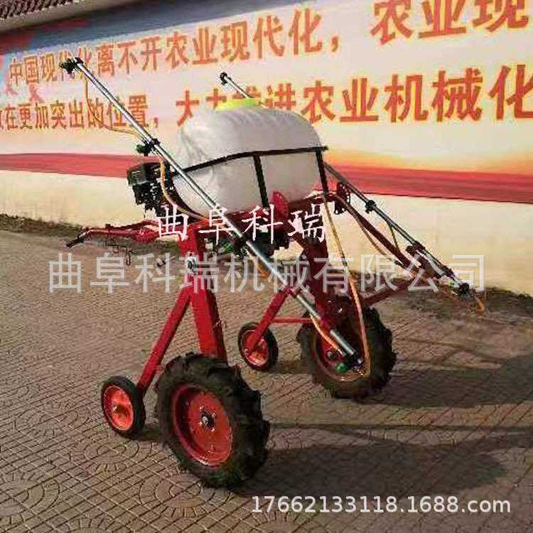 汽油打药机 手扶式小麦玉米地喷药机 果园蔬菜大棚杀虫打农药机,农机/农具/农膜,打药机/弥雾机,淘宝优惠券,粉丝福利购,淘宝优惠卷
