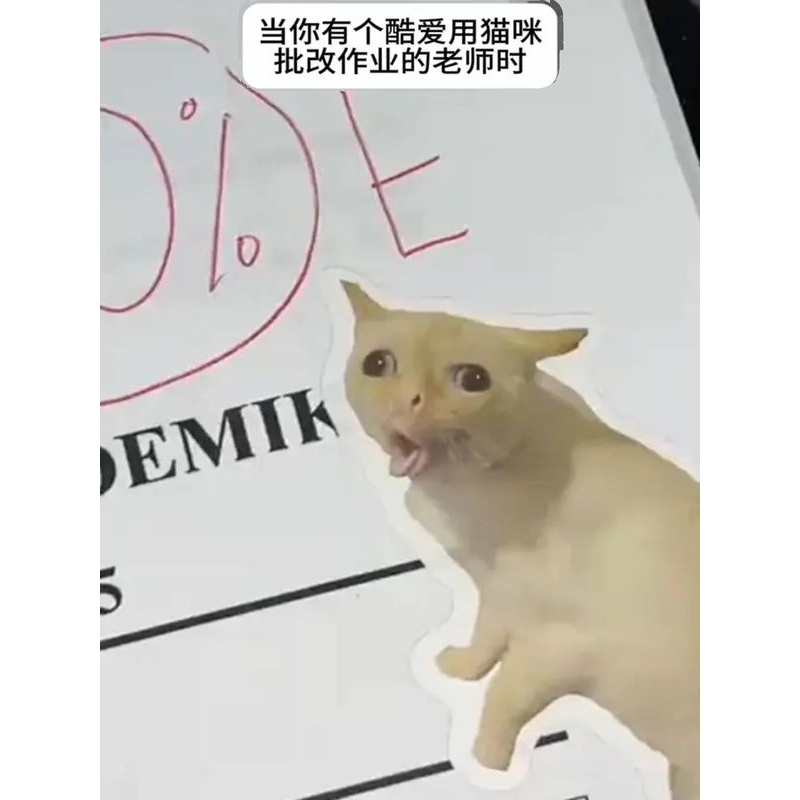 猫咪贴纸奖励搞笑表情包搞怪图案diy手帐贴画标签贴卡通装饰50张