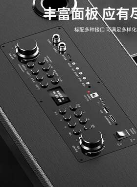 贝德音响视域系列1505户外K歌广场舞显示屏高端视频高清大屏音箱