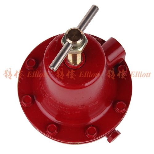 供应美国RegO力高1584VN调压LPG减压器DN15液化石油气减压阀