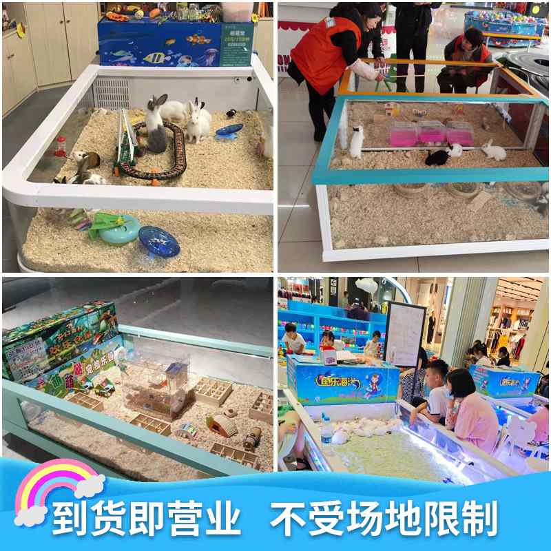 钓仓鼠缸宠物池喂兔子缸芦丁鸡香猪池玻璃防爆缸商用商场萌宠乐园