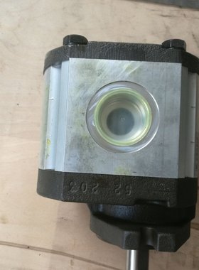 进口意大利 RONZIO 罗茨 02ZAG08E034D 齿轮泵 液压马达