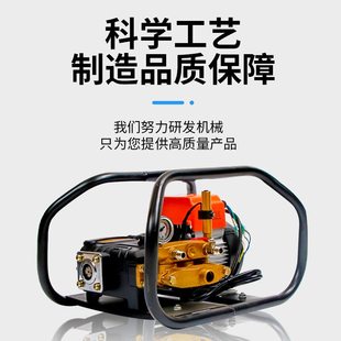 三缸柱塞泵 高压喷雾机 多功能农用直流电动打药机48v60v园林果树