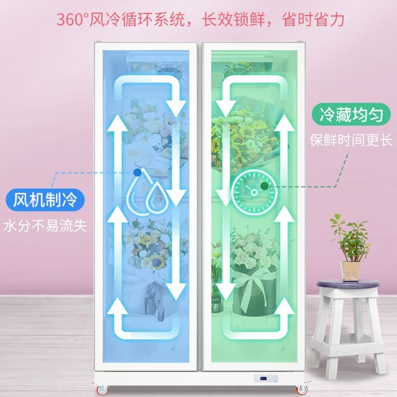 冷藏展示柜冰柜保鲜饮料啤酒单双三开门超市水果玻璃立式商用冰箱