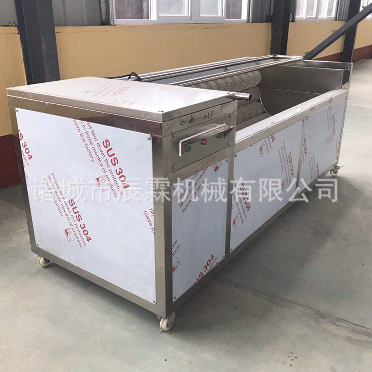 全自动大姜去泥清洗机 山药莲藕毛辊清洗机 土豆芋头去皮清洗机