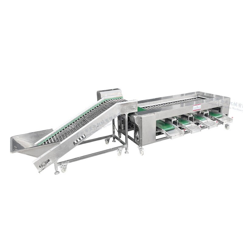 土豆分级选果机 西红柿荔枝荔枝果蔬分选机 滚杠大小分拣不伤果