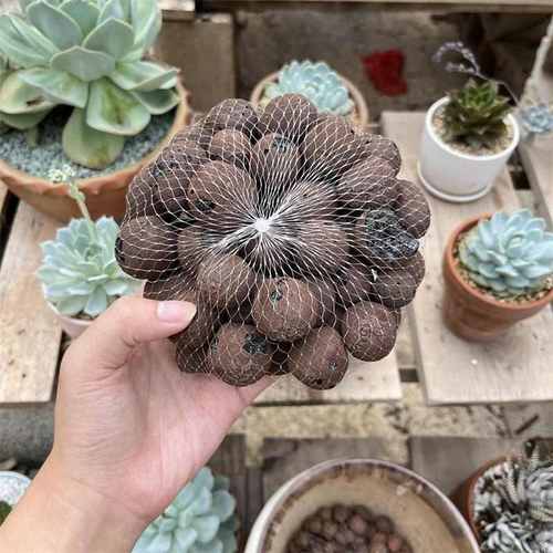 陶粒网兜垫底种花垫底疏水肉透气尼龙袋袋种陶粒塑料多家用编制